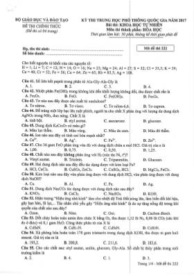 Đề thi Trung học phổ thông Quốc gia môn Hóa học năm 2017 - Mã đề 222